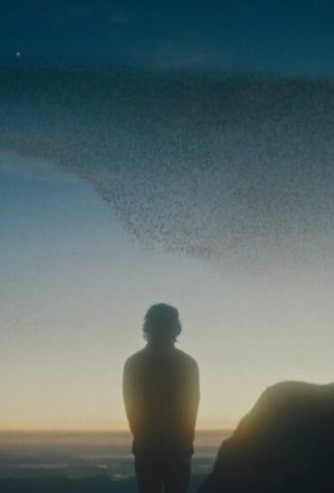 Trouserless Nightmare