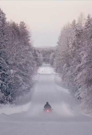 Should i Stay or Should i Go